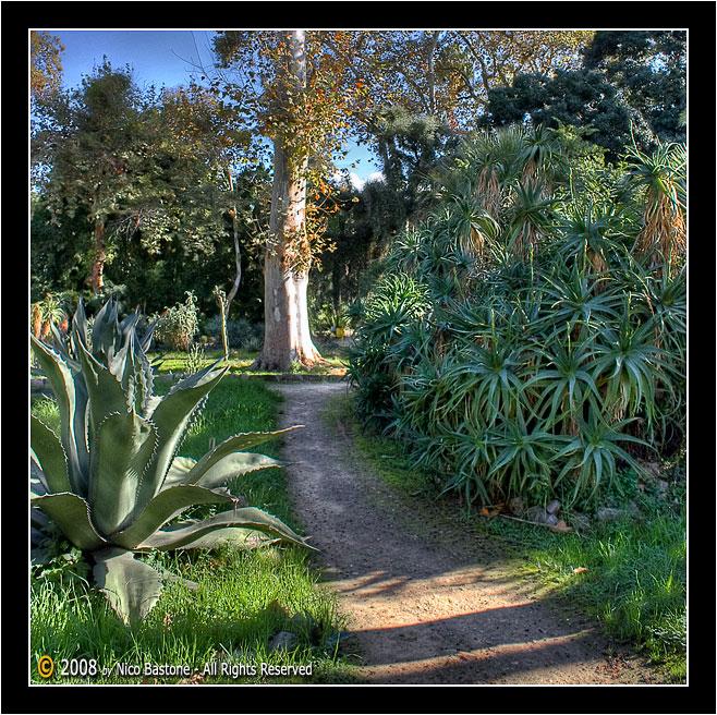 Orto_Botanico_HDR_ (10).jpg